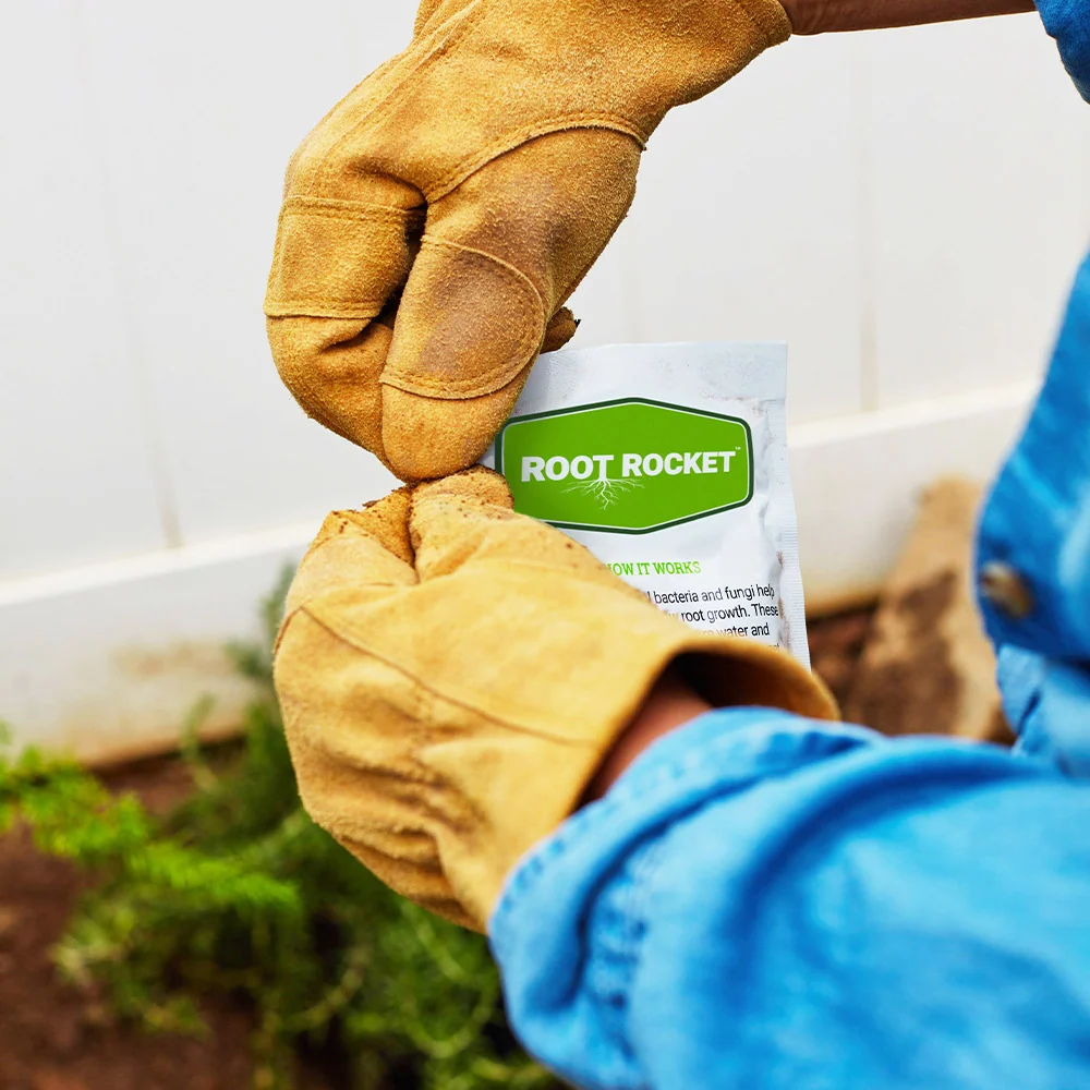 Root Rocket® Citrus Fertilizer 6 Root Rocket® Citrus Fertilizer
