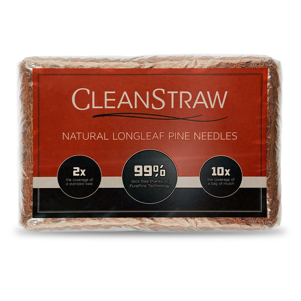 CleanStraw Pine Straw 2 CleanStraw Pine Straw