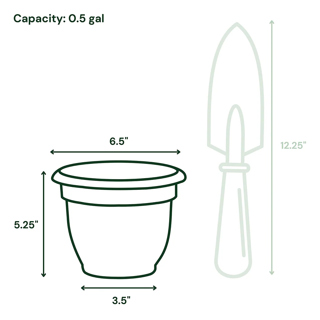 Bloem Ariana Self-Watering Planter in Pebble Stone 10 Bloem Ariana Self-Watering Planter in Pebble Stone