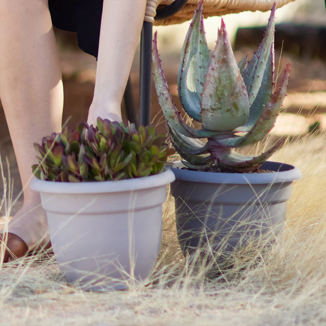 Bloem Ariana Self-Watering Planter in Pebble Stone 6 Bloem Ariana Self-Watering Planter in Pebble Stone