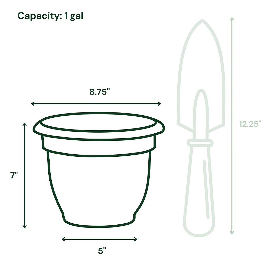 Bloem Ariana Self-Watering Planter in Pebble Stone 7 Bloem Ariana Self-Watering Planter in Pebble Stone