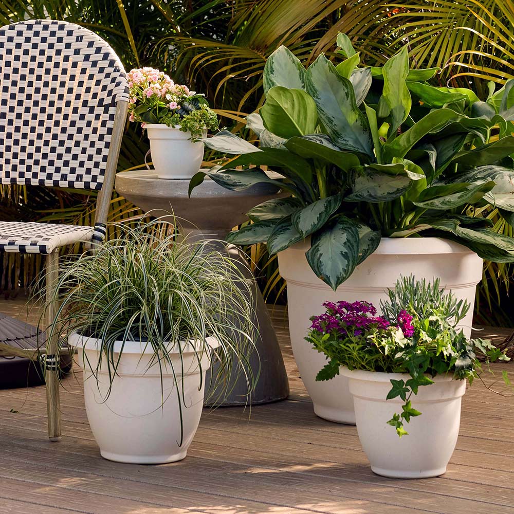 Bloem Ariana Self-Watering Planter in Vanilla Bean