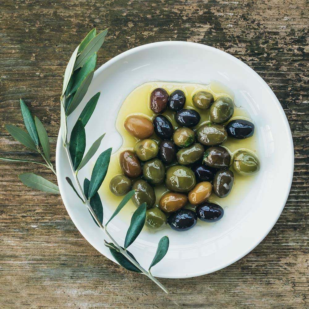 Mission Olive Tree 3 Mission Olive Tree