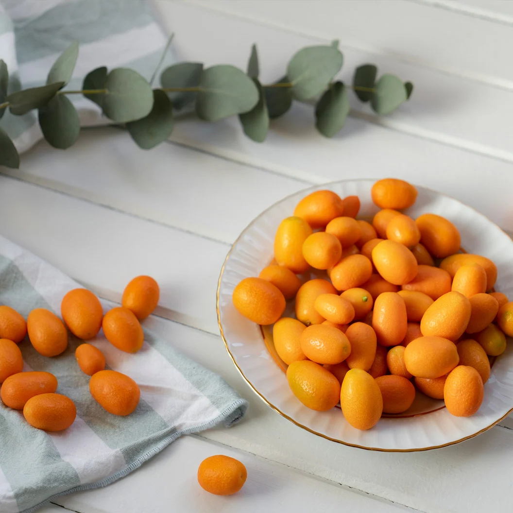 Meiwa Sweet Kumquat Tree 4 Meiwa Sweet Kumquat Tree