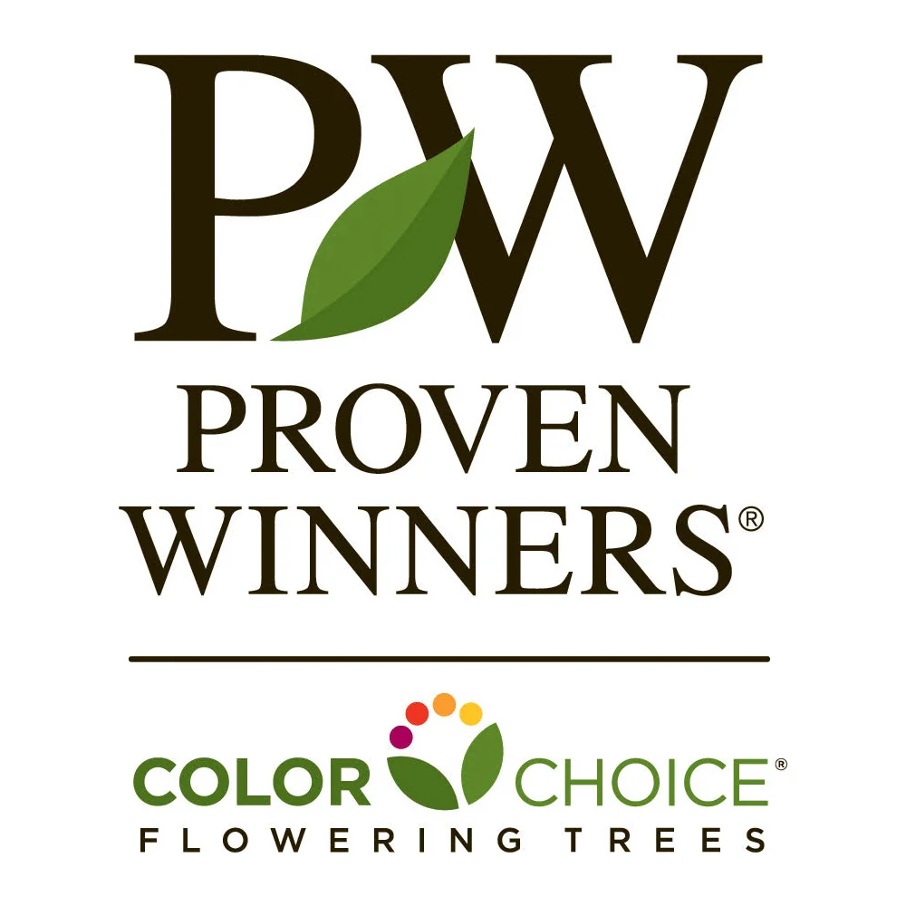 Proven Winners® Sweet Sugar Tyme® Crabapple Tree 6 Proven Winners® Sweet Sugar Tyme® Crabapple Tree