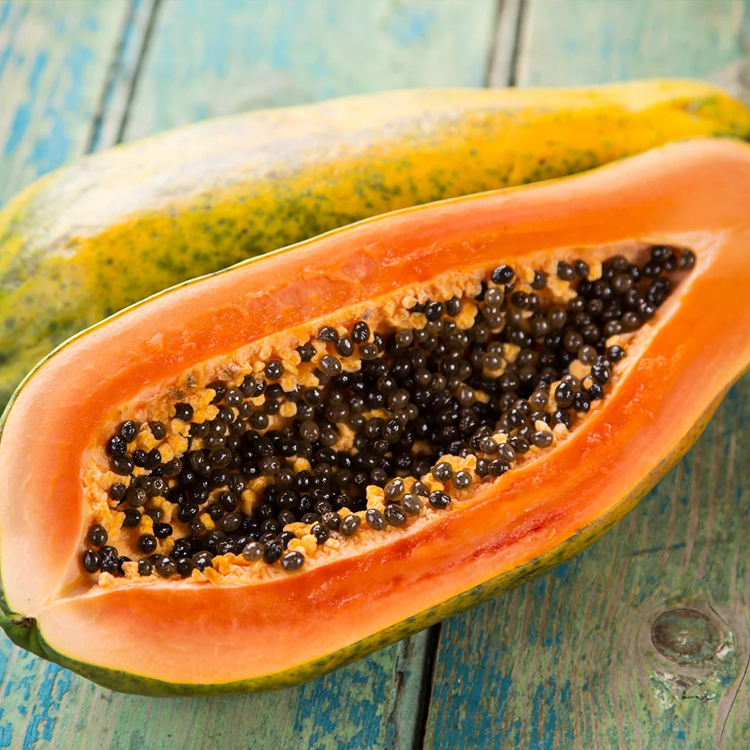 Tainung Papaya Tree 3 Tainung Papaya Tree