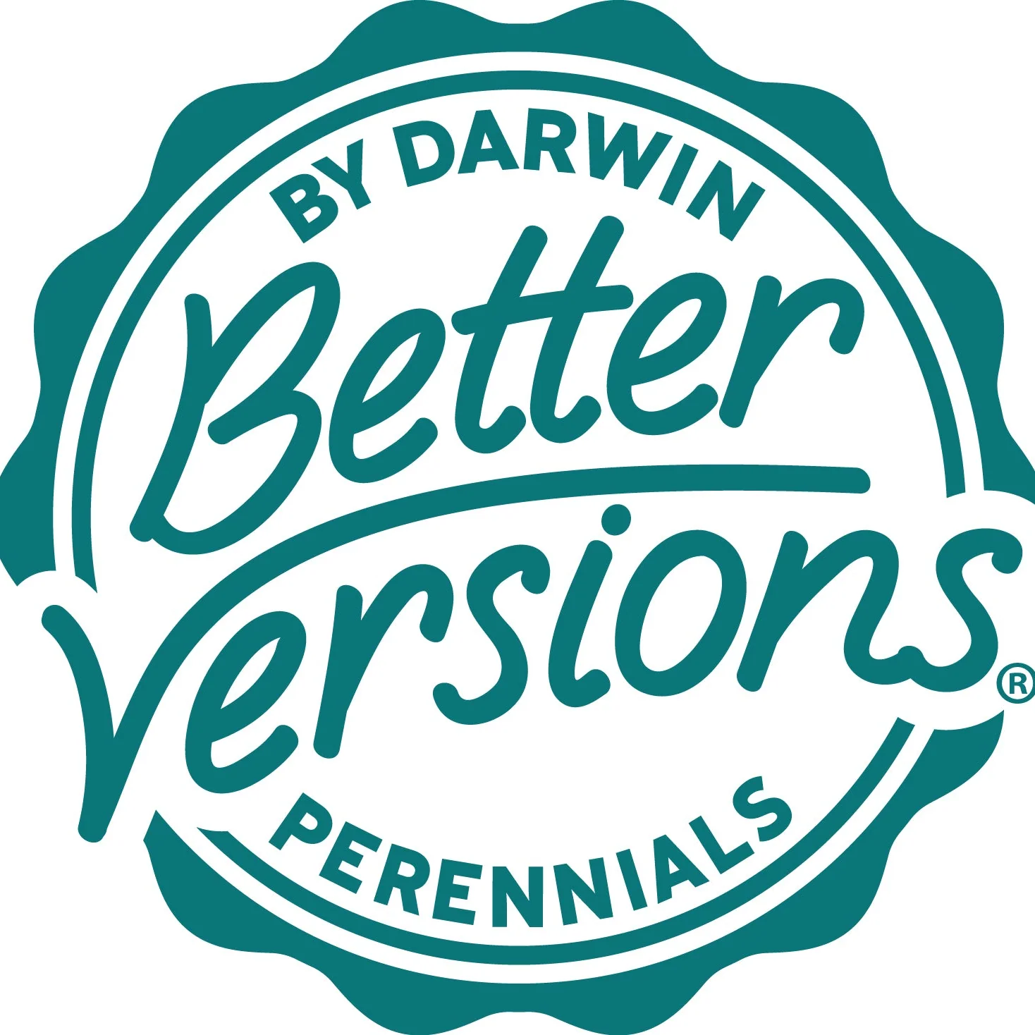 Better Versions® Junior Walker™ Nepeta Plant 5 Better Versions® Junior Walker™ Nepeta Plant