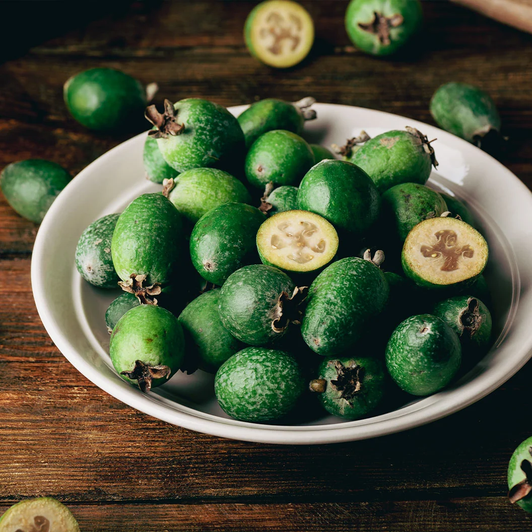 Pineapple Guava Coolidge Tree 4 Pineapple Guava Coolidge Tree