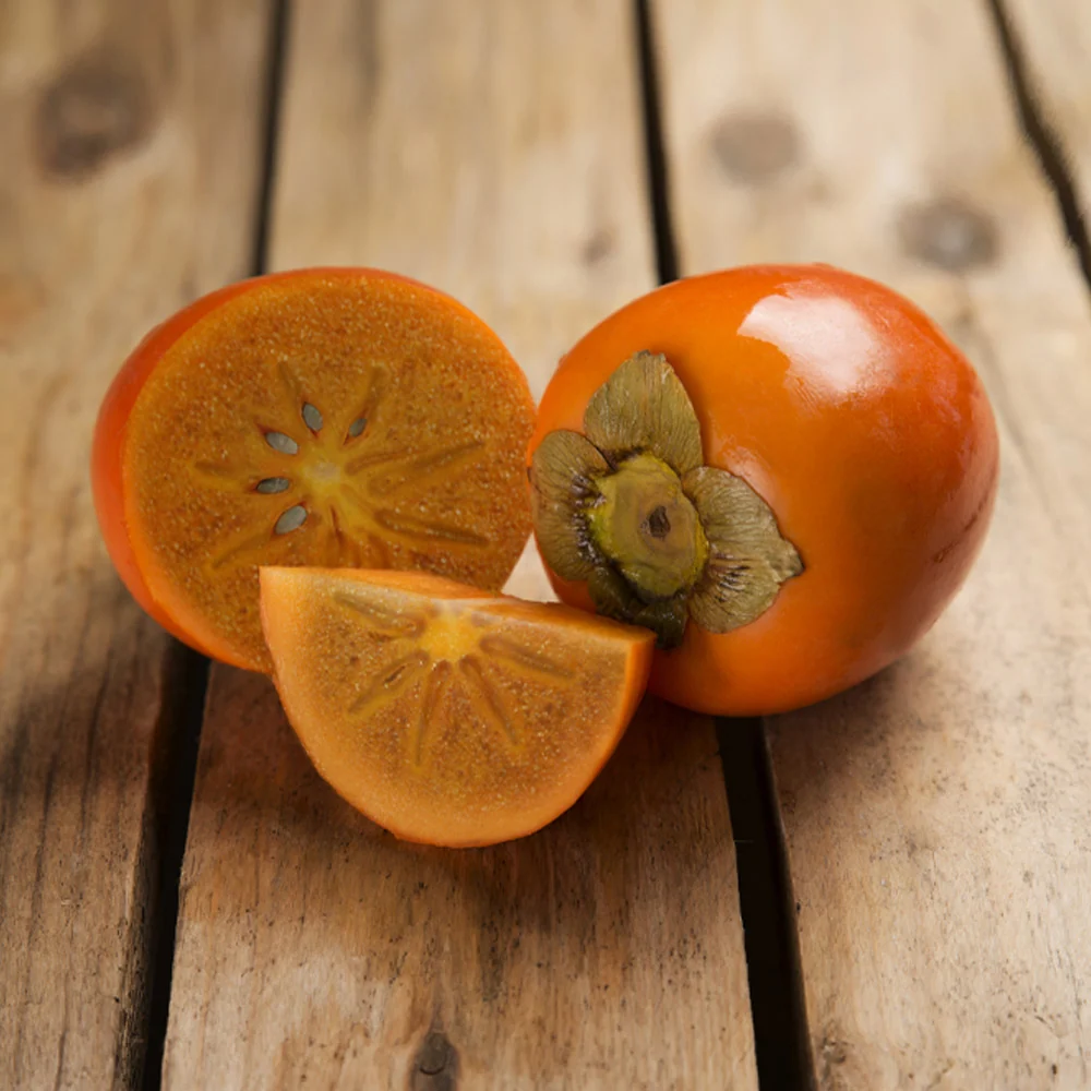 Chocolate Persimmon Tree