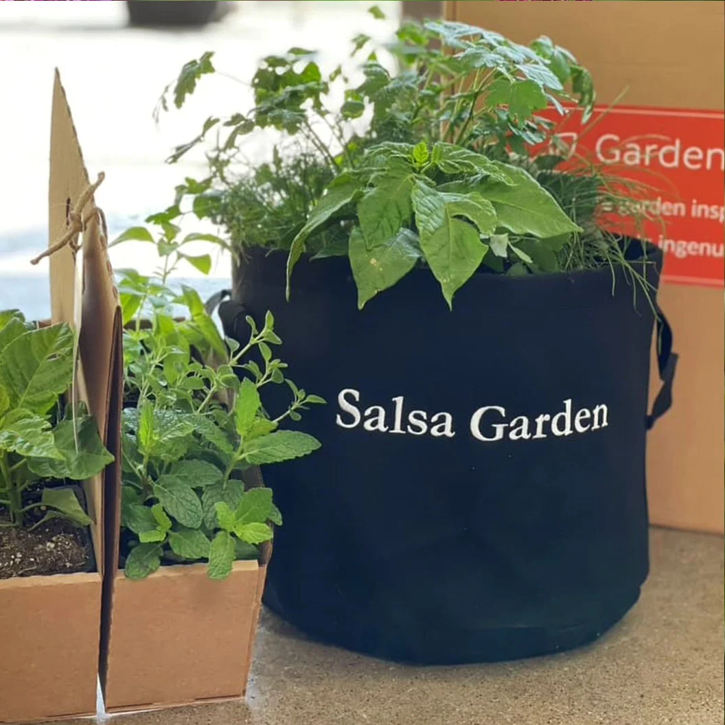 Gardenuity® Salsa Patio Garden 1 Gardenuity® Salsa Patio Garden