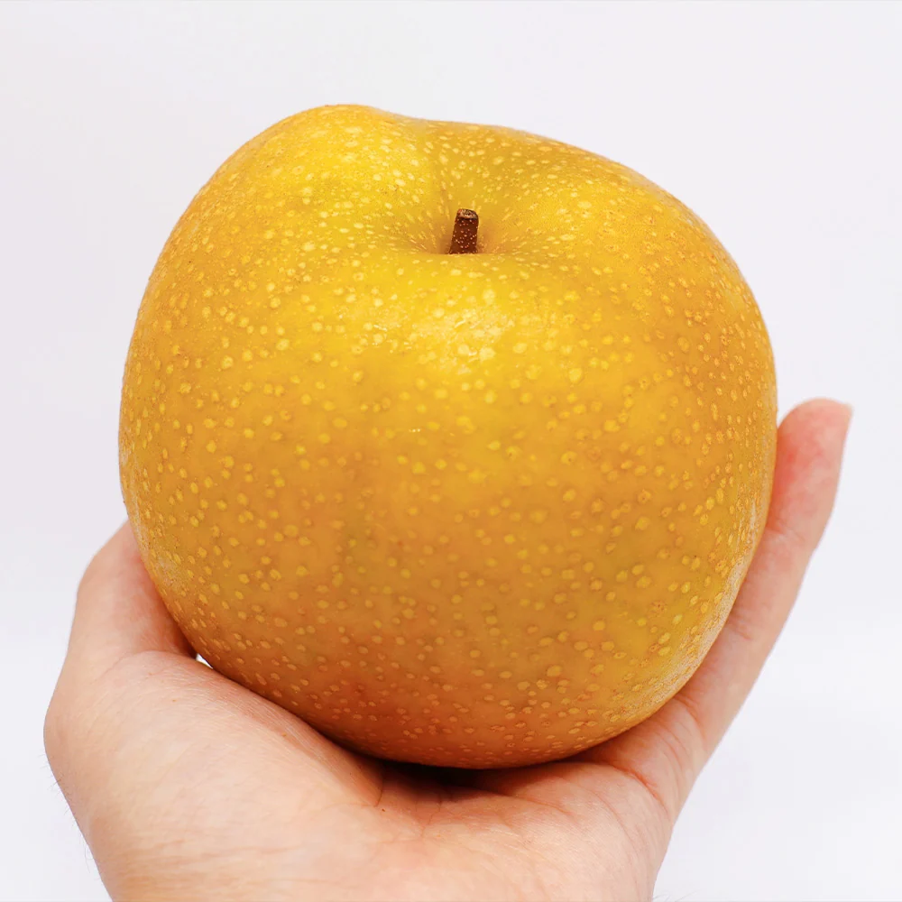 Hosui Asian Pear Tree 6 Hosui Asian Pear Tree