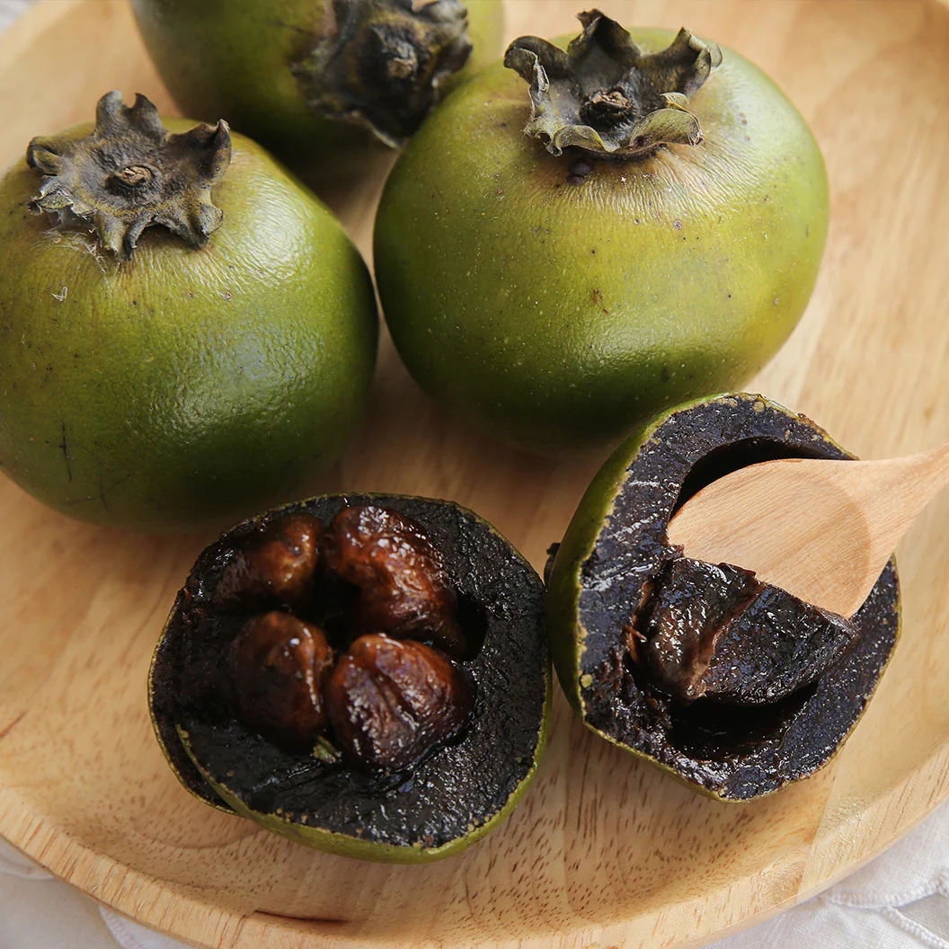 Black Sapote Tree 3 Black Sapote Tree