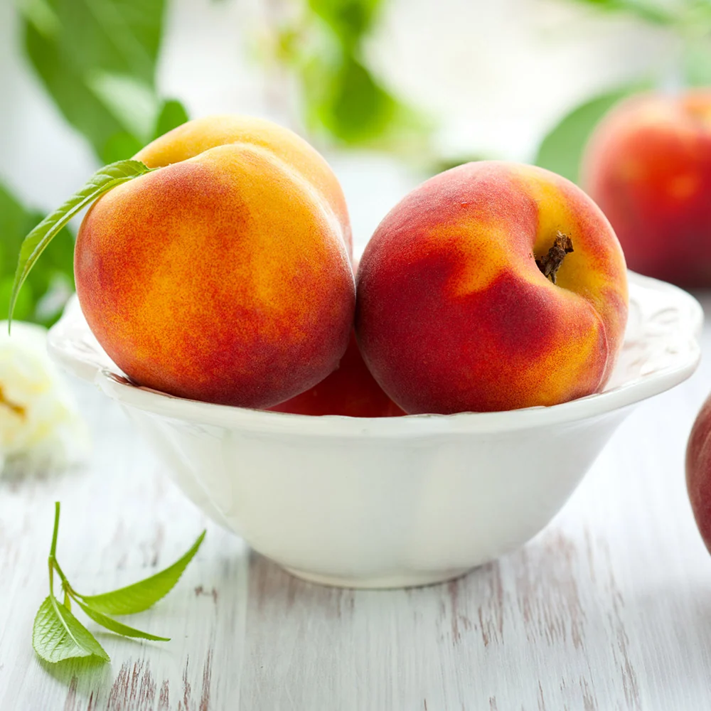 June Gold Peach Tree 4 June Gold Peach Tree