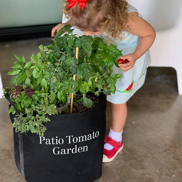 Gardenuity® Patio Tomato Garden 1 Gardenuity® Patio Tomato Garden
