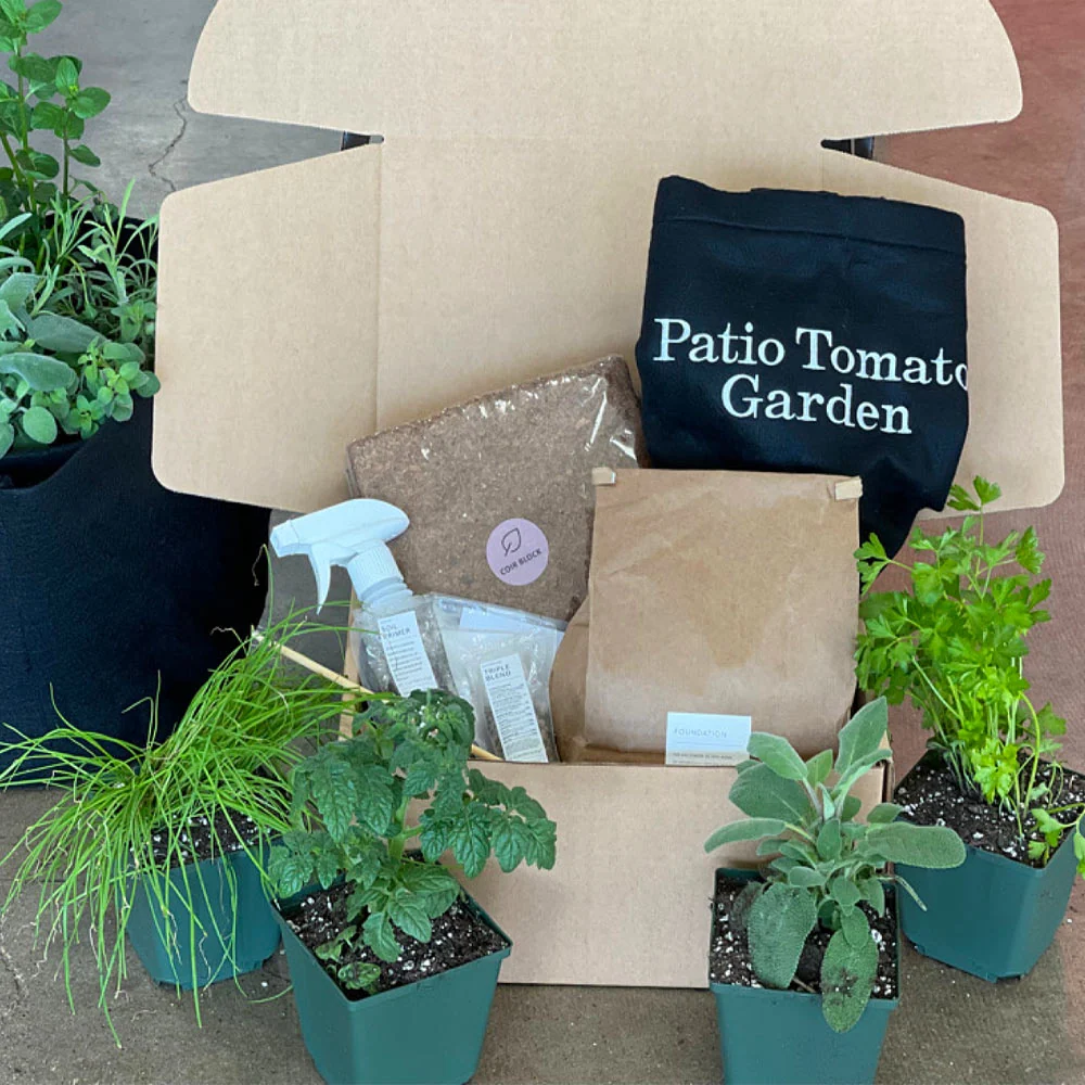 Gardenuity® Patio Tomato Garden 5 Gardenuity® Patio Tomato Garden