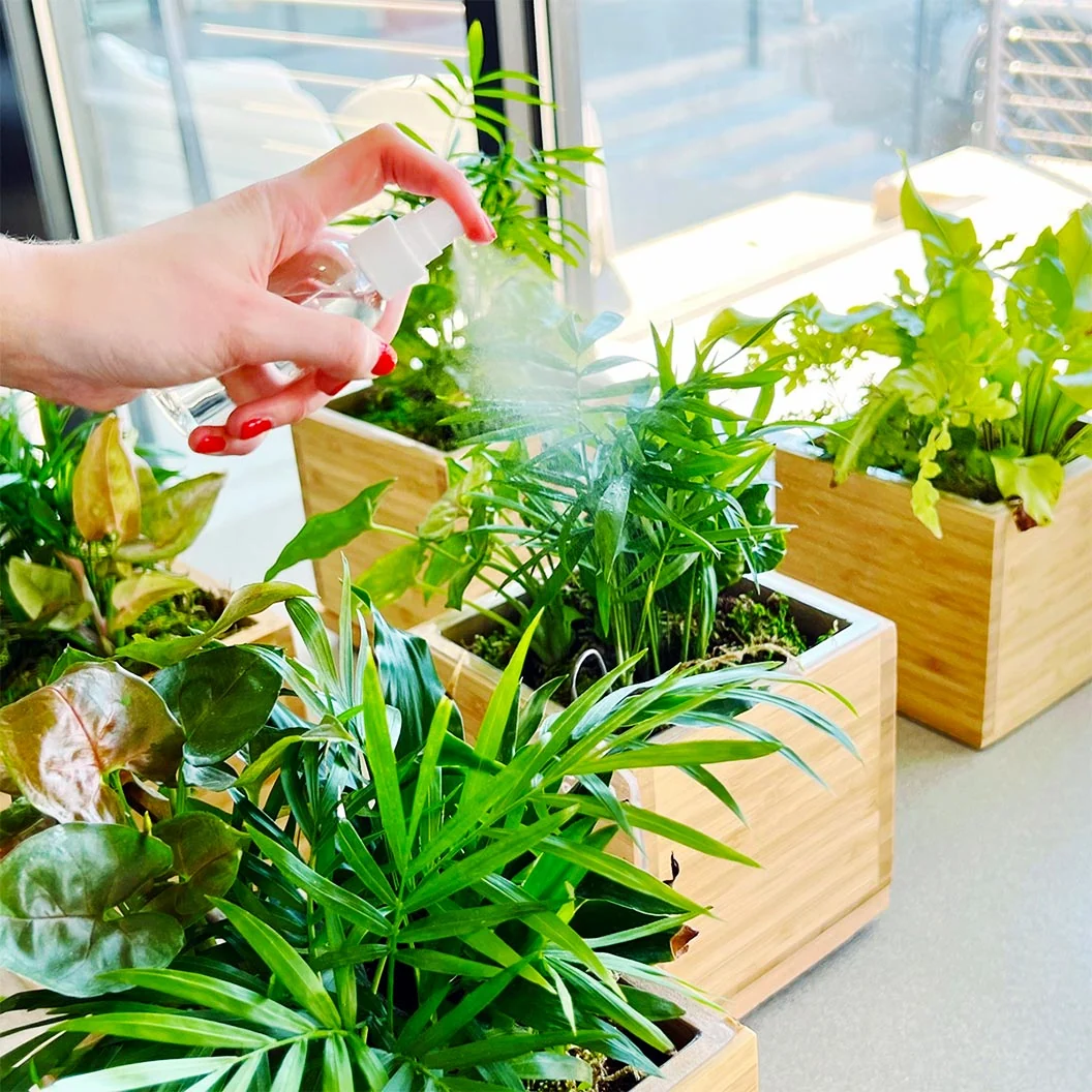 Gardenuity® Tropical Desktop Garden Kit in Bamboo Planter 3 Gardenuity® Tropical Desktop Garden Kit in Bamboo Planter