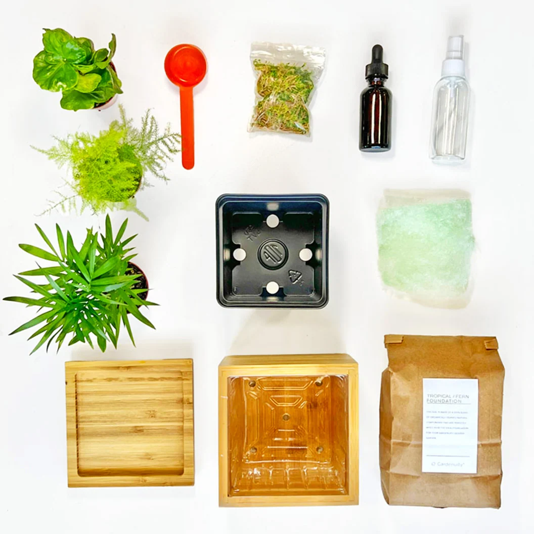 Gardenuity® Tropical Desktop Garden Kit in Bamboo Planter 4 Gardenuity® Tropical Desktop Garden Kit in Bamboo Planter