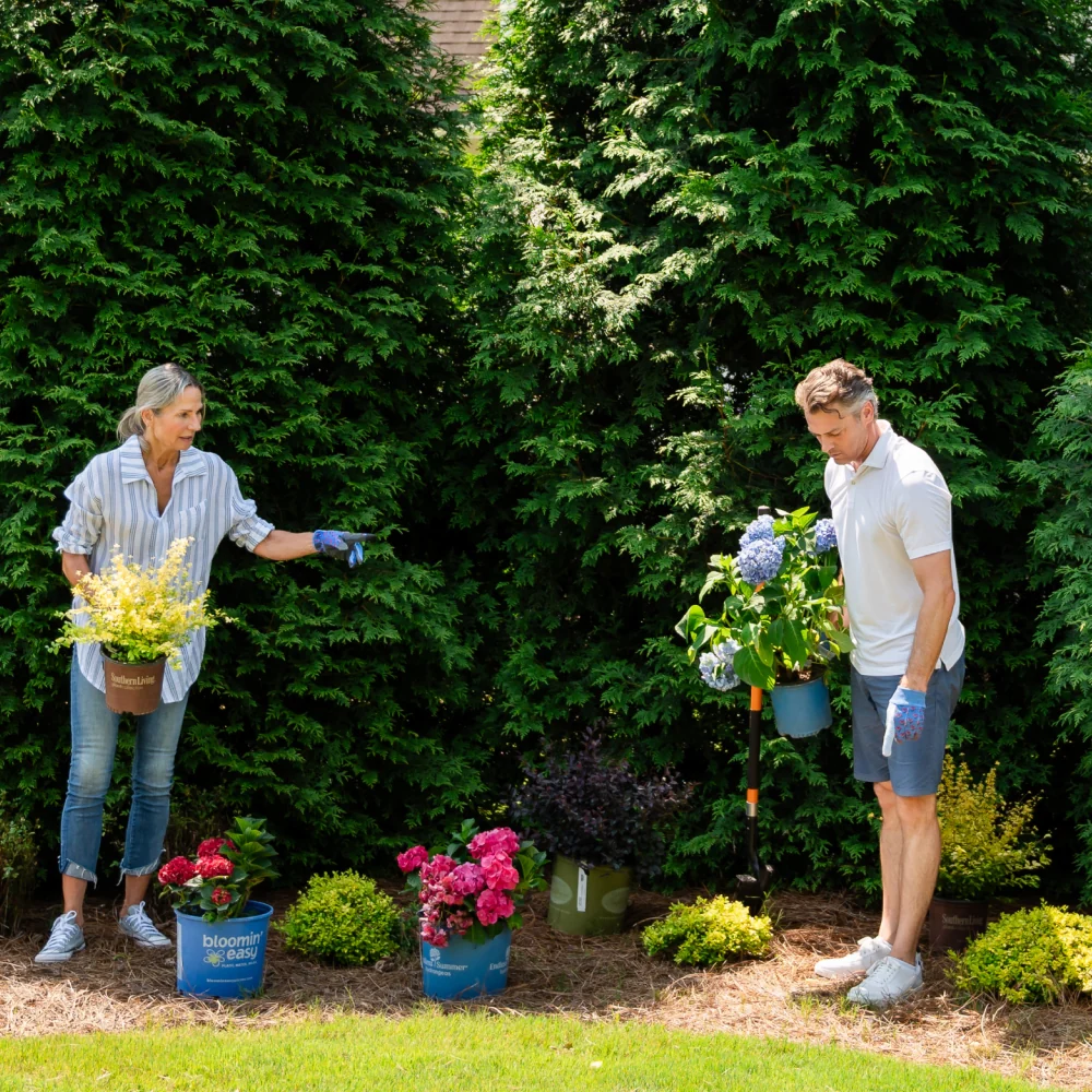 Expert Consultation: Plant Selection 2 Expert Consultation: Plant Selection